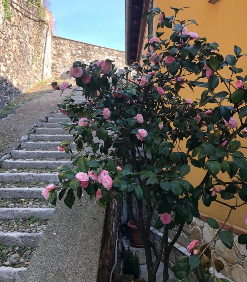 B&B Alle Scalette Trissino Exteriér fotografie